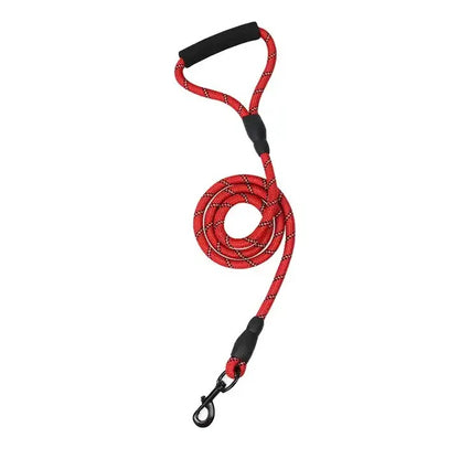 climbing rope dog lead on grass sale
