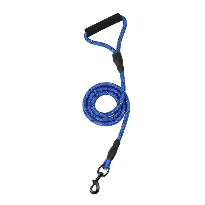 climbing rope dog lead on outdoor trail buy