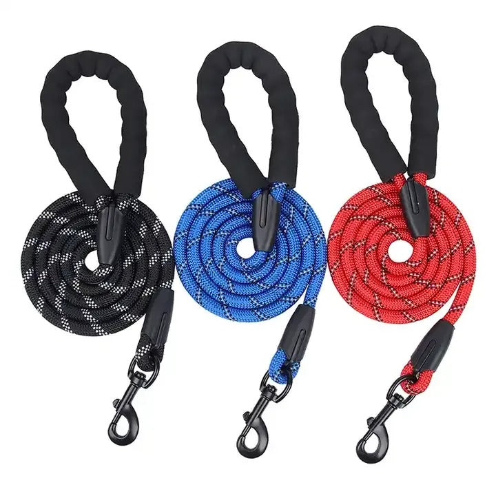 top side view of climbing rope dog lead