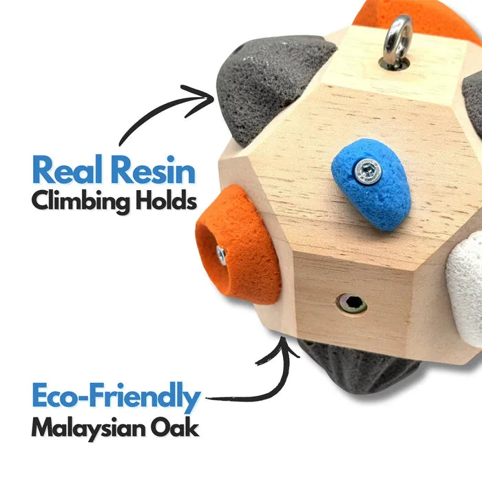 Close-up of the solid wood block with real resin climbing holds